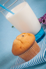Healthy nutrition with fresh milk and chocolate muffin.