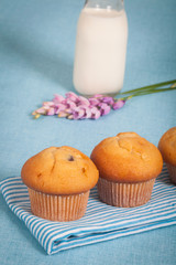 Obraz na płótnie Canvas Healthy nutrition with fresh milk and chocolate muffin.