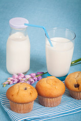 Healthy nutrition with fresh milk and chocolate muffin.