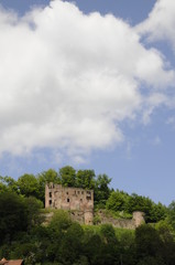 Fototapeta na wymiar Burg Freienstein im Odenwald