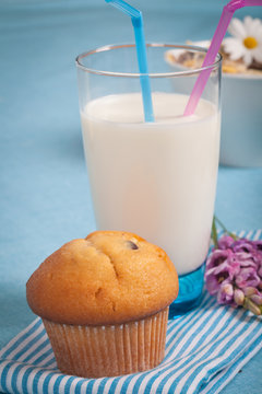 Healthy nutrition with fresh milk and chocolate muffin.