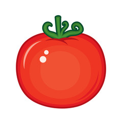 Isolated on white tomato