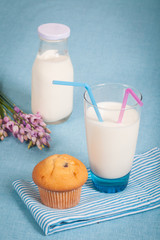 Healthy nutrition with fresh milk and chocolate muffin.