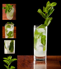 Fresh mojito