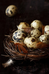 Obraz premium Quail eggs.