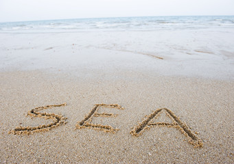 sea