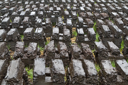 Torf stechen im Hochmoor in Bayern