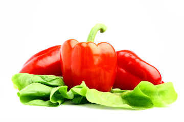 Delicious tasty red paprika with fresh lettuce