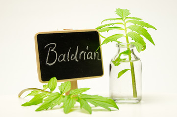 baldrian