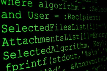 Program code on a monitor