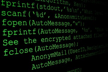 Program code on a monitor