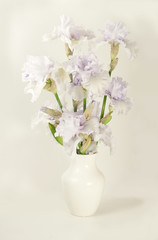 Obraz na płótnie Canvas Bouquet of irises