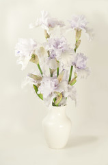 Bouquet of irises