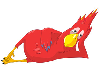 Funny Parrot. Relaxation.
