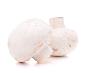 Champignon mushroom