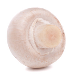 Champignon mushroom