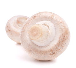 Champignon mushroom