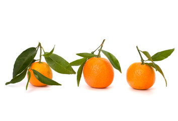 Tangerines