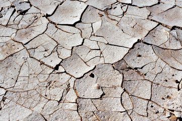 Dry Cracked Earth Texture - Drought