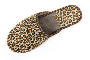 Slipper
