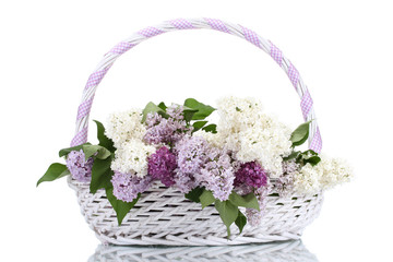 Fototapeta na wymiar beautiful lilac flowers in basket isolated on white