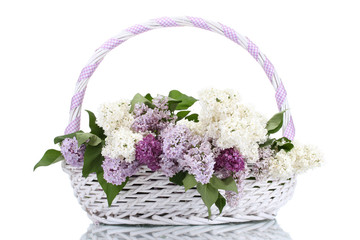 beautiful lilac flowers in basket isolated on white