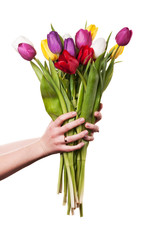 woman holds a bouquet of tulips