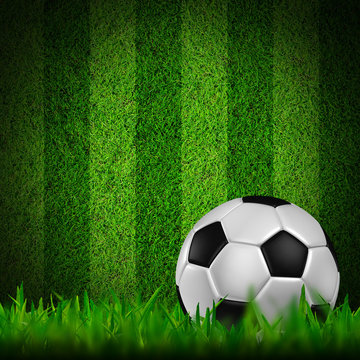 football in green grass
