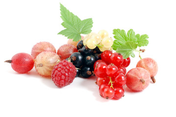 Johannisbeeren