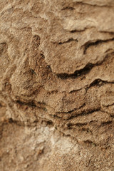 Dry soil texture