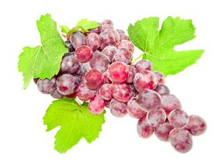 Grapes