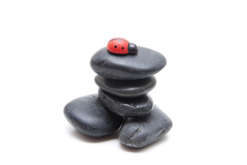 Marienkäfer auf schwarze Steine