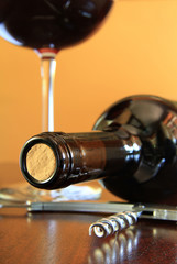 Bottle neck with steel corkscrew