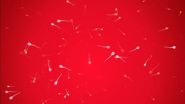Animation Hintergrund mit Spermatozoon