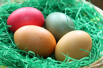 Osternest - Easter eggs