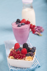 Yogurt with berries
