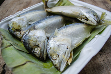 Mackerel in foam box