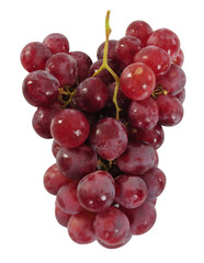 Grapes. Isolated