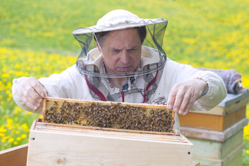 Beekeeper.