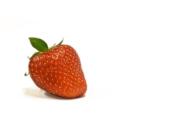 Una fragola su fondo bianco
