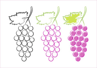 Grape icons on white background