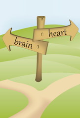 brain or heart