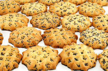 baked biscuits