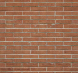 Obraz premium CEGŁA ŚCIANA JAKO TŁO NR 32