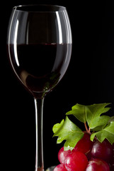 vino