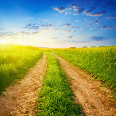 Road on green meadow at sunset .