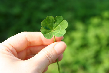 four leaf clover