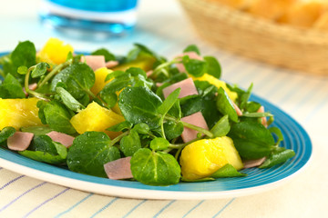 Fresh watercress, pineapple and ham salad on blue plate