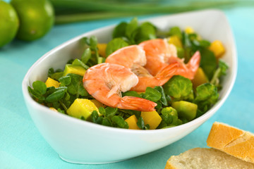 Shrimps on fresh watercress, mango, avocado salad