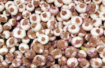 Food - Vegetables